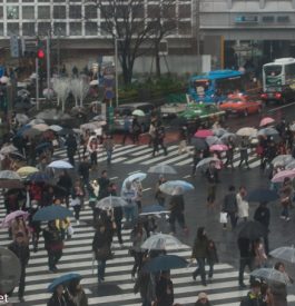 Tokyo : A l’attaque de Shibuya