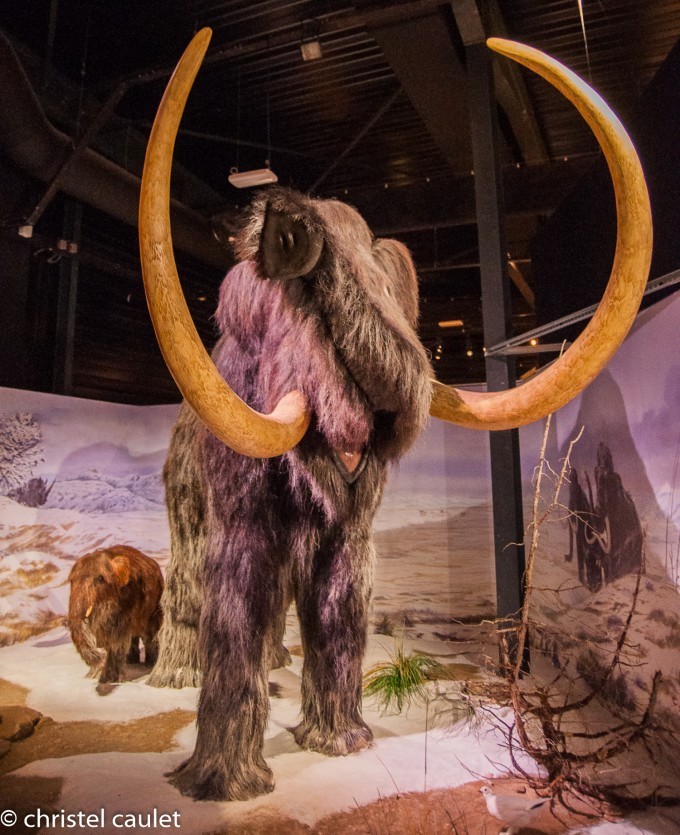 Le Parc Prehistoire Tarascon Sur Ariege Blog Voyage