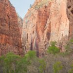Partir pour un road-trip USA à Zion Canyon