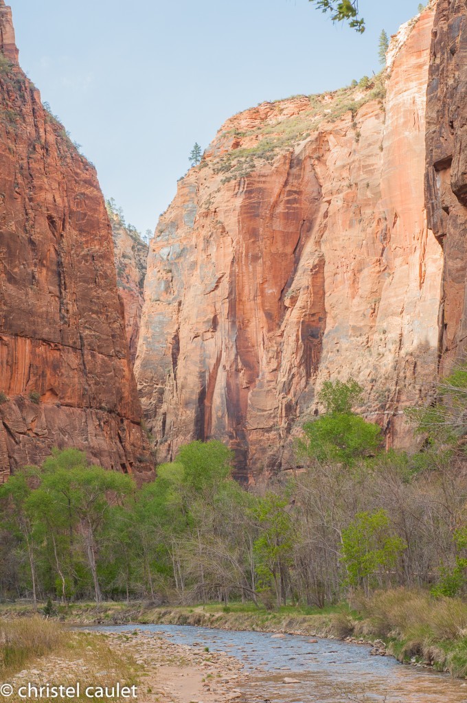 Voyage aux Etats-Unis : Découvrir le Zion Canyon