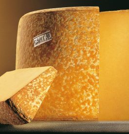 Le Cantal, ce fromage que l’on n’oublie pas