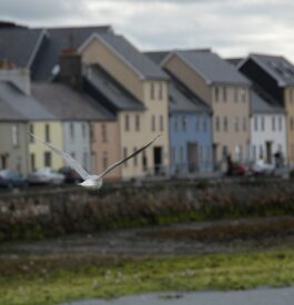 Les sites incontournables à Galway en Irlande
