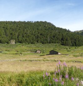 Se rendre à Naturlandia en Andorre