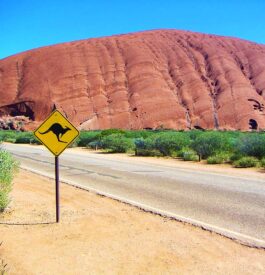 roadtrip-australie