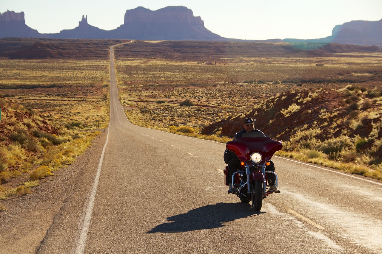 Voyager en Harley-Davidson