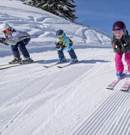 Parcourir les stations de ski