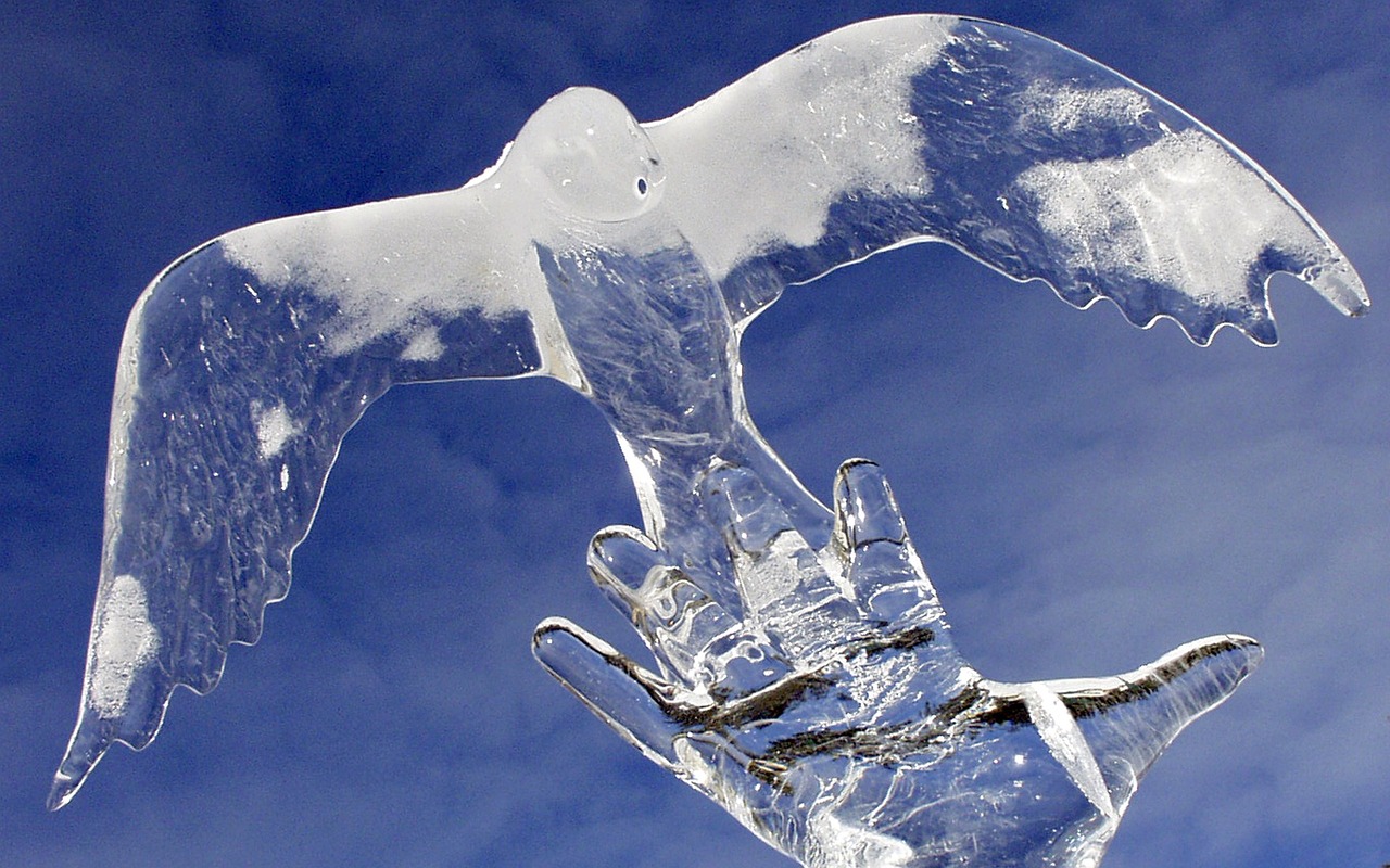Sculptures de glace à Liège Anvers