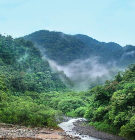 Destination écotouristique au Costa Rica