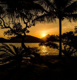 Location de rêve sur l'île de Mana au Brésil