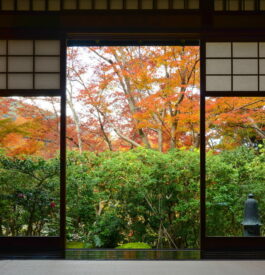 À Kyoto, aller à un salon de thé