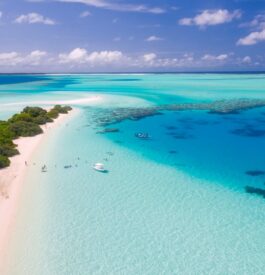 Un cocon de rêve aux Maldives
