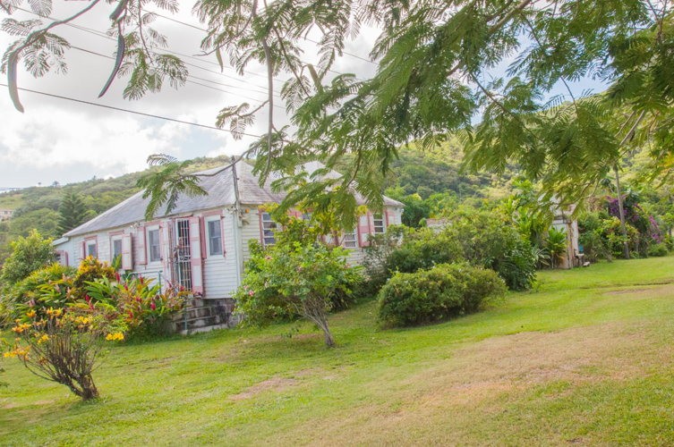 Visite chez Barbara, guide locale à Saint-Kitts, jardin tropical