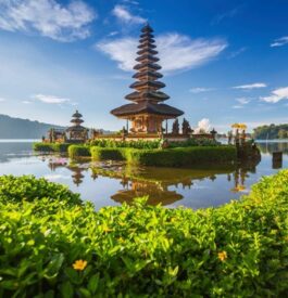 Vouloir repartir à Bali