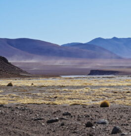 Converger vers le sud de Lipez en Bolivie