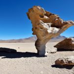 Road-trip en Bolivie : L'arbre de pierre