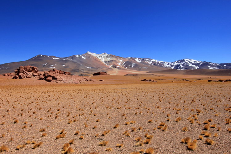 desert en Bolivie
