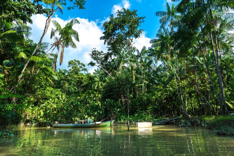 Naviguer en pirogue sur l'Amazone