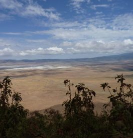 Passer voir le cratère Ngorongoro, en Tanzanie