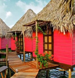 8 îles de luxe Airbnb à louer