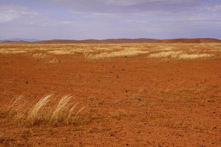 Décor de sable dans l'outback