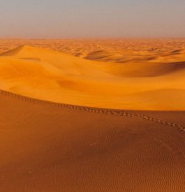 Partir en voyage dans les dunes de sable à Dubaï