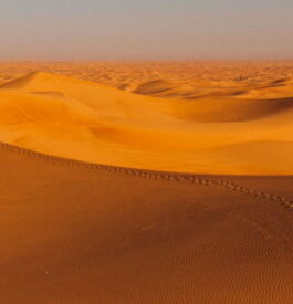 Dans le désert des dunes de sable à Dubaï
