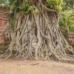 L'un des bouddhas les plus instagrammés de la Thaïlande