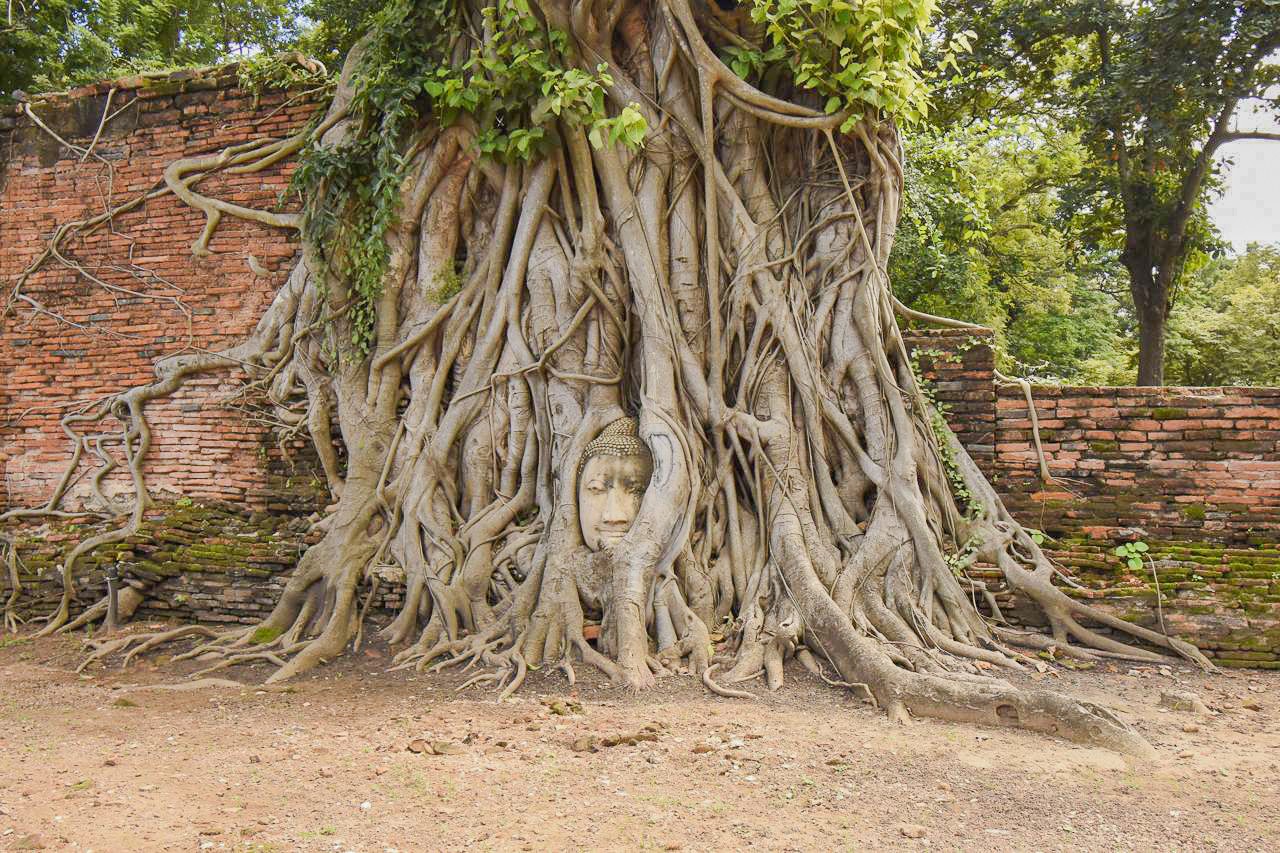 L'un des bouddhas les plus instagrammés de la Thaïlande