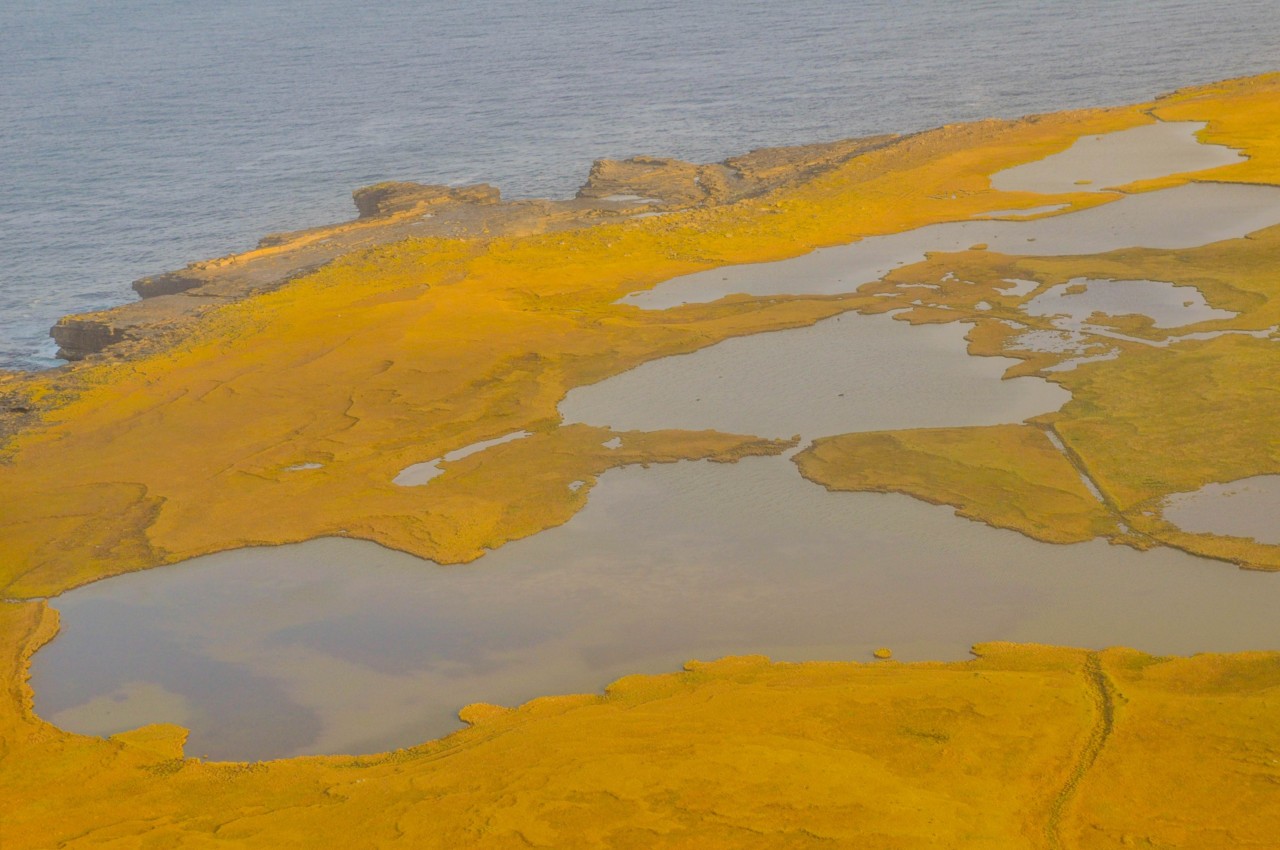 Paysages des Orcades depuis les airs — vol Loganair vers Papa Westray en Écosse
