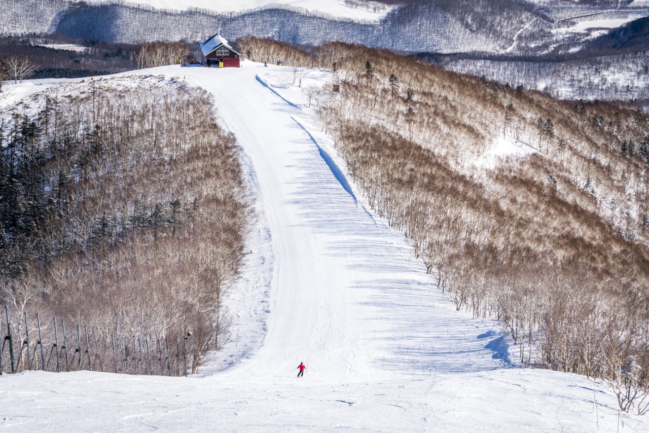 Les pistes de ski à Hokkaido au Japon