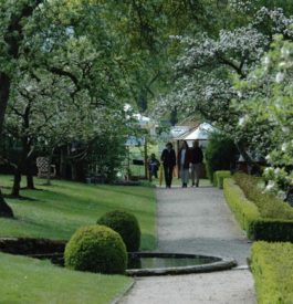 Rejoindre la Fête des Plantes aux jardins d’Aywiers, en Belgique