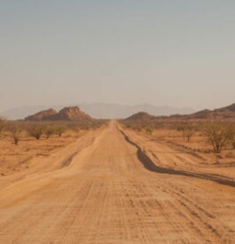 Aller en Namibie