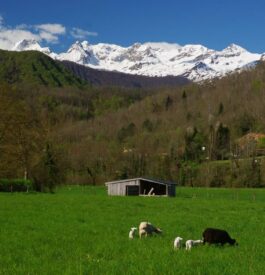 Partir en road-trip en Ariège