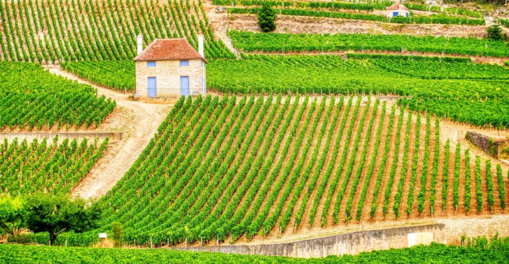 Top 10 des régions d'Europe pour les amateurs de vin CP : Holidu