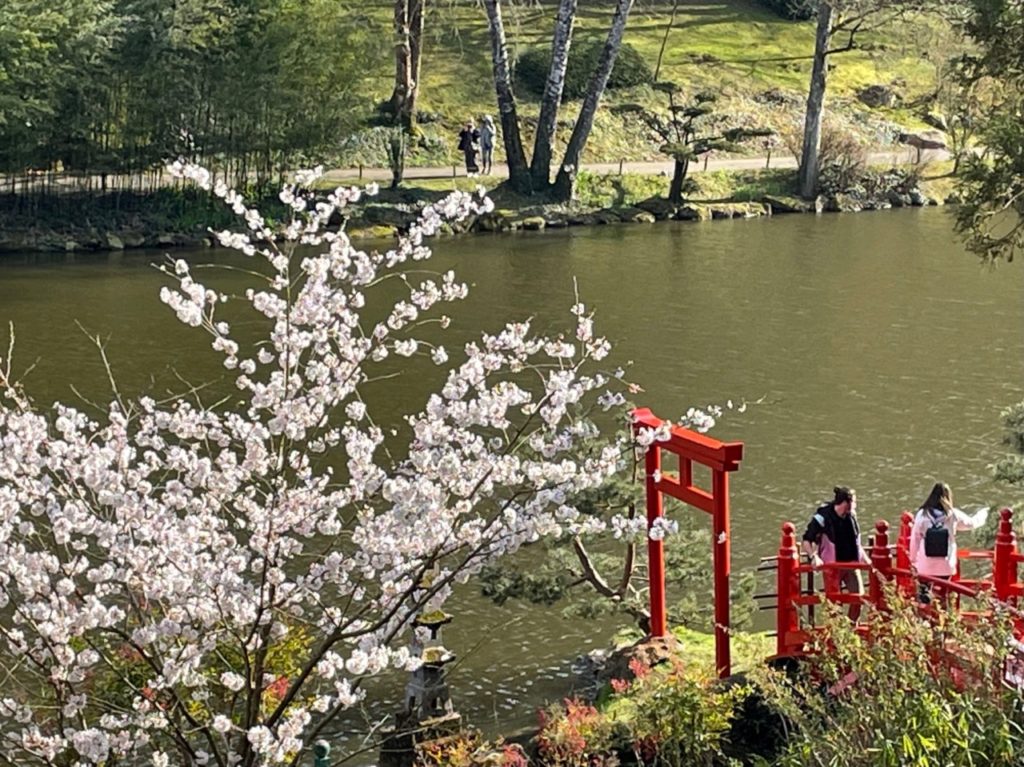 Un jardin japonais