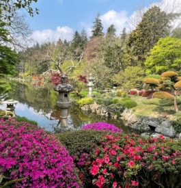 Parc Oriental de Maulévrier : Le plus grand jardin japonais