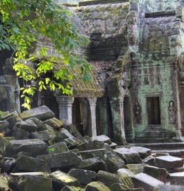 Explorer le temple Ta prohm au Cambodge