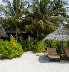 rejoindre Dhevanifushi Resort Maldives