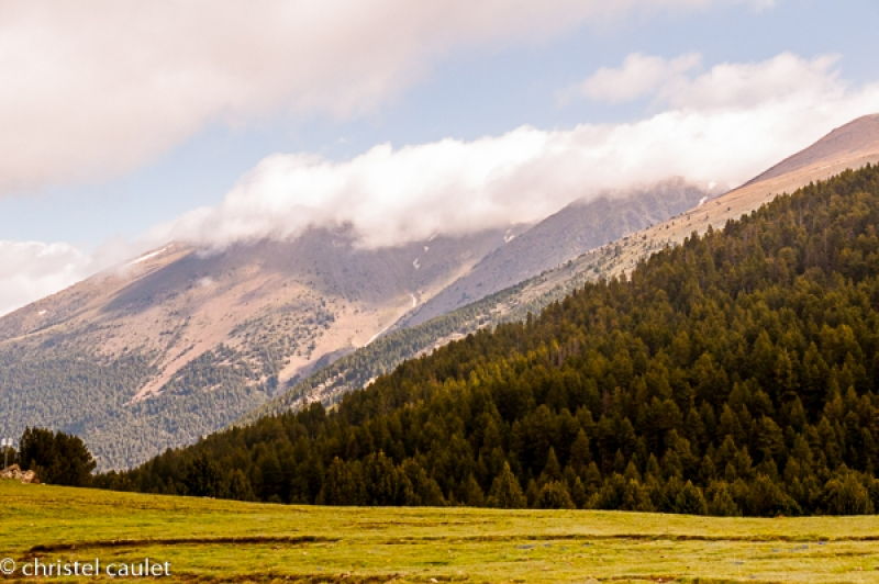 Vallée verdoyante en Andorre