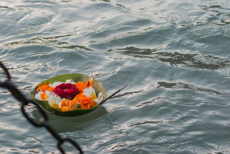 Des couronnes de fleurs sur le Gange, en Inde à Haridwar