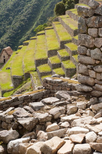 Les pierres étaient parfaitement triées, rangées et organisées pour donner vie à des architectures sublimes au Machu Picchu