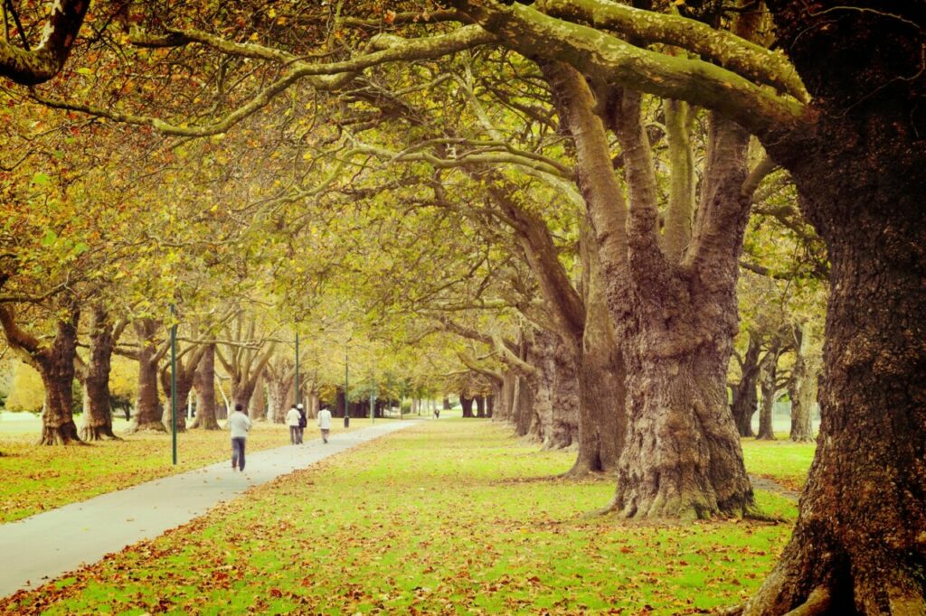 Hagley Park, Nouvelle-Zélande