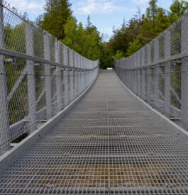Québec ponts suspendus découverte