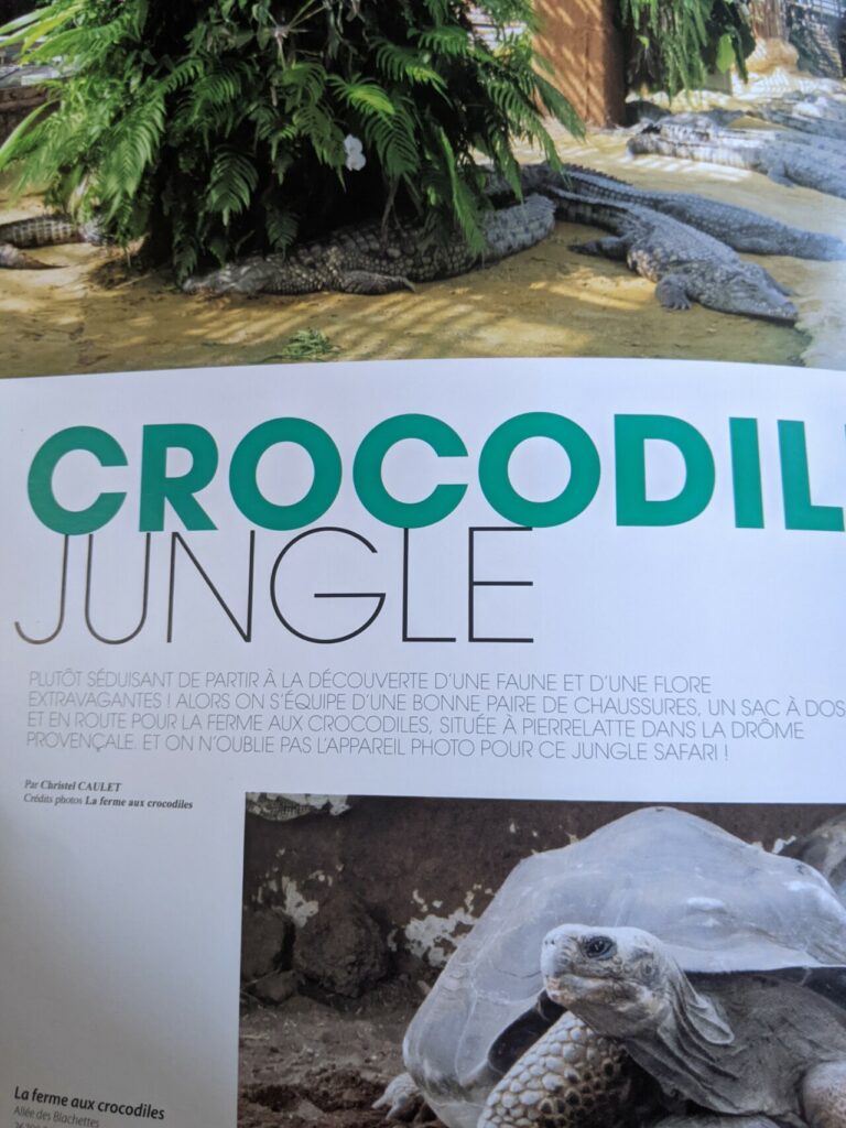 Crocodile Jungle