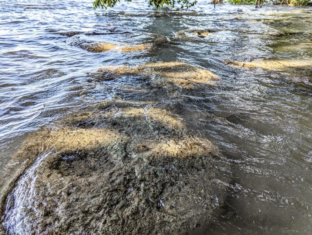 Stromatolithes bacalar