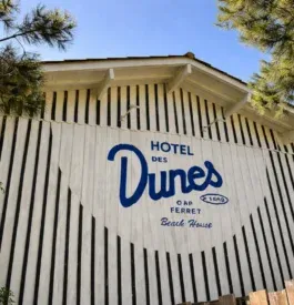 Hotel luxe Cap Ferret : Une Nuit de Rêve Unique