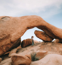 Guide Ultime : Un week-end magique à Joshua Tree