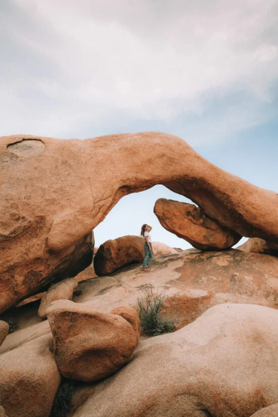 Balade joshua tree