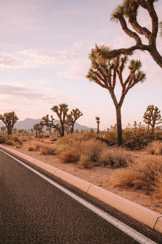 route californienne