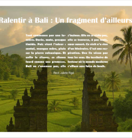 ralentir à Bali